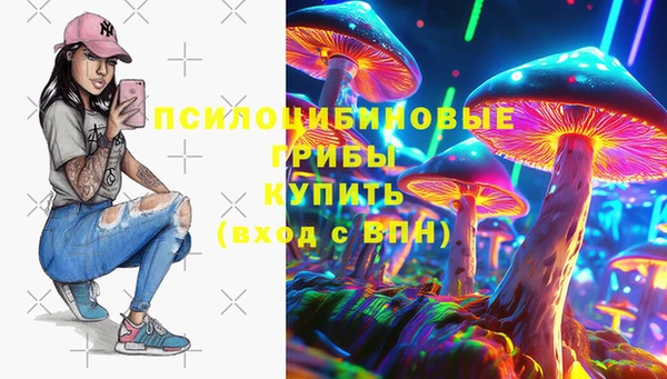 марки lsd Гусь-Хрустальный