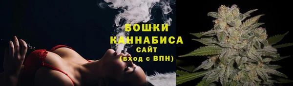 амф Гусиноозёрск