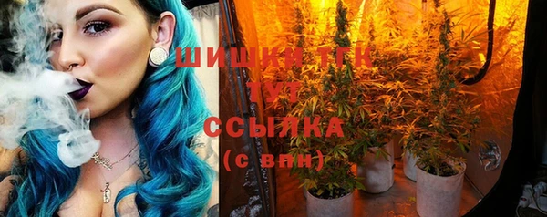 марки lsd Гусь-Хрустальный