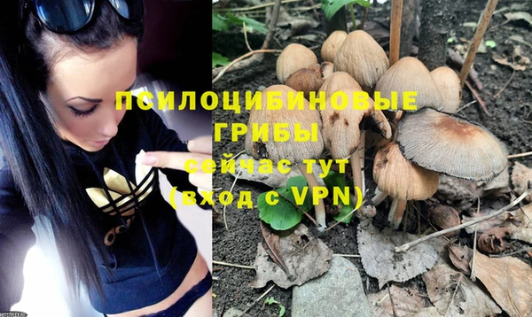 амф Гусиноозёрск