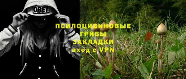 гашишное масло Гусев
