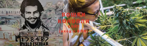 амф Гусиноозёрск