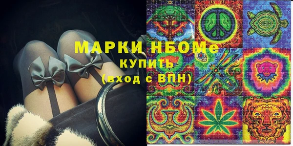 амф Гусиноозёрск