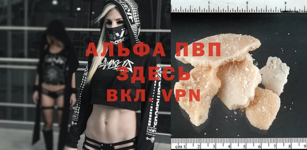 амф Гусиноозёрск