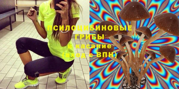 марки lsd Гусь-Хрустальный